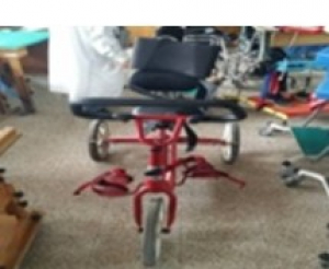 三輪腳踏車(中)
